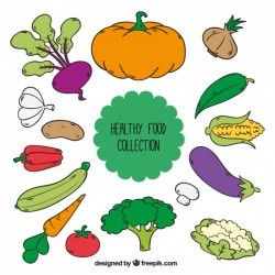 Selection of hand-drawn vegetables
