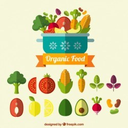 Set of organic food in flat design