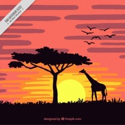 Sunset in the savannah with a giraffe