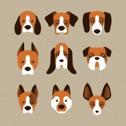 A set of dog face variants in flat style