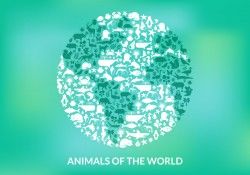Animals Of The World Vector