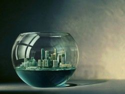 Aquarium World Is a Miracle Wallpapers – 1280×960 – 270138