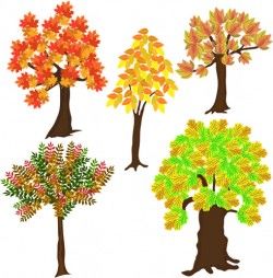 Autumn tree icons vector
