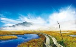 Beautiful Foggy Mountains Wallpapers