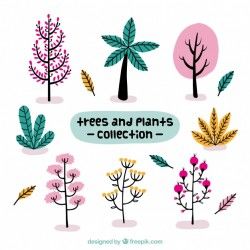 Beautiful trees and hand drawn plants