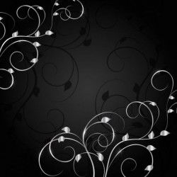 Black background with decor floral vector 03