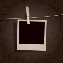 Blank Photo Hanging Vector
