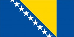 Bosnia and Herzegovina Flag