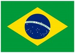 Brazil Flag [Brazilian]