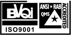 BVQI ISO 9001 Logo