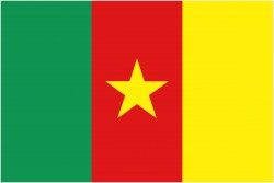 Cameroon Flag
