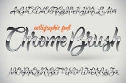 Chrome fonts vector