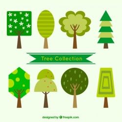 Collection of trees in flat design