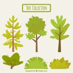 Collection of vintage trees and shrubs