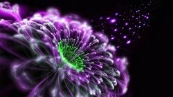 3D Flower Wallpaper 1366×768