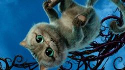 Alice through the looking glass, 2016, Cheshire cat laptop 1366×768 HD Background