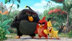 Angry birds, Bird, Movie laptop 1366×768 HD Background