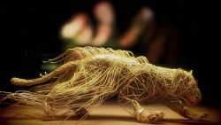 Leopard, Wire, Yellow, Stealing, Big cat, 3d laptop 1366×768 HD Background