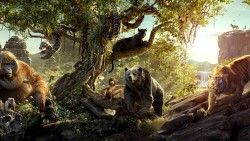The jungle book, 2016, Bear, Gorilla, Tiger, Panther laptop 1366×768 HD Background