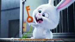The secret life of pets, 2016, Rabbit, Snowball laptop 1366×768 HD Background