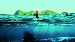 The shallows, Blake lively, Nancy laptop 1366×768 HD Background
