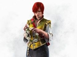 The witcher 3, Wild hunt, Shani 1600×1200 HD Background