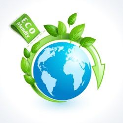 Eco friendly logos creative vector