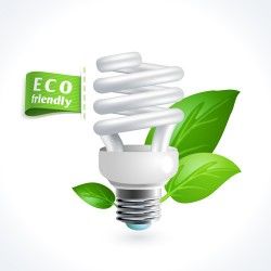 Eco friendly logos creative vector