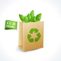 Eco friendly logos creative vector