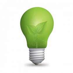 Eco Light Bulb Vector