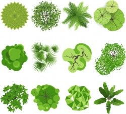 Green herbs and spices icons vector