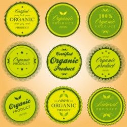 Green organic labels vector set