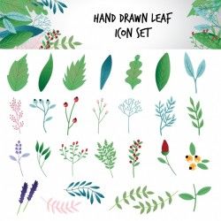 Hand drawn leaf icons set