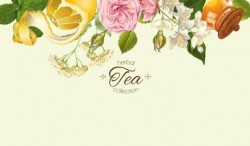 Herbal tea vintage background vector 02