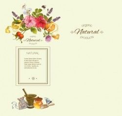 Herbal tea vintage background vector 03