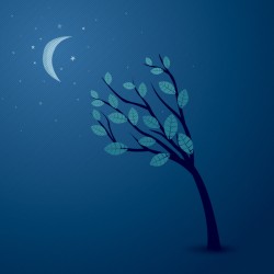 Midnight Conversation Vector