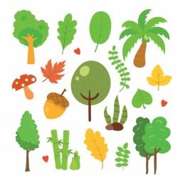 Nature elements collection