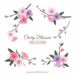 Pack of cherry blossom decorative elements