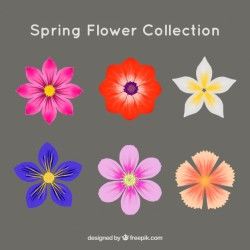Pack of colored flowers