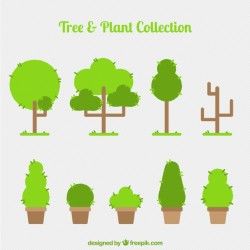 Pack of trees and plants in flat design