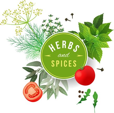 Refreshing herbs and spices vector background