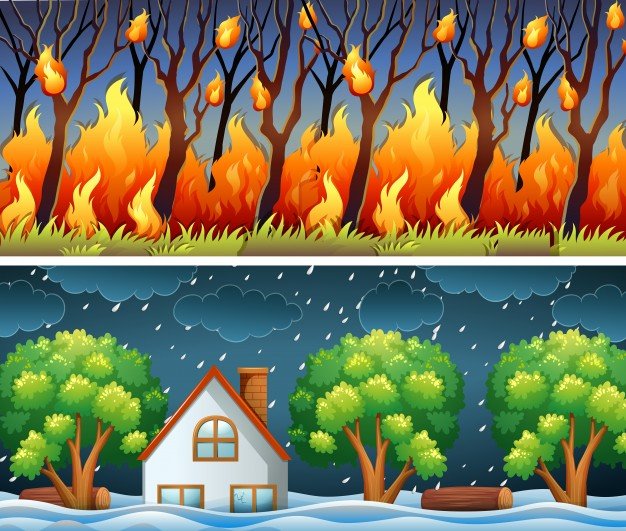 Scenes with forest fire and storm