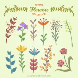 Set of beautiful flowers in vintage style