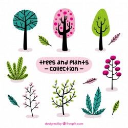 Set of beautiful plants and trees in vintage style