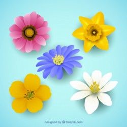 Set of five beautiful flowers