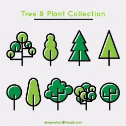 Set of trees and plants in linear style