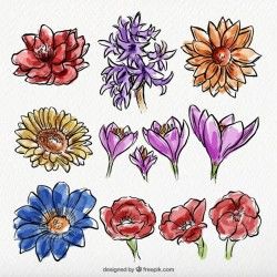 Set of wild hand-drawn watercolor flowers
