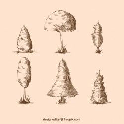 Sketches of different trees set