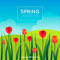 Spring background with tulips