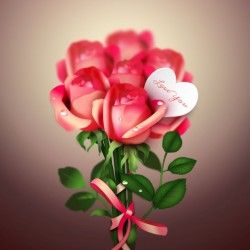 Valentine’s Day Red Roses Expression of Love